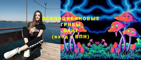 трава Михайловка
