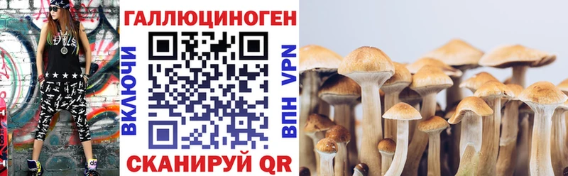 Галлюциногенные грибы прущие грибы магазин продажи наркотиков Разумное